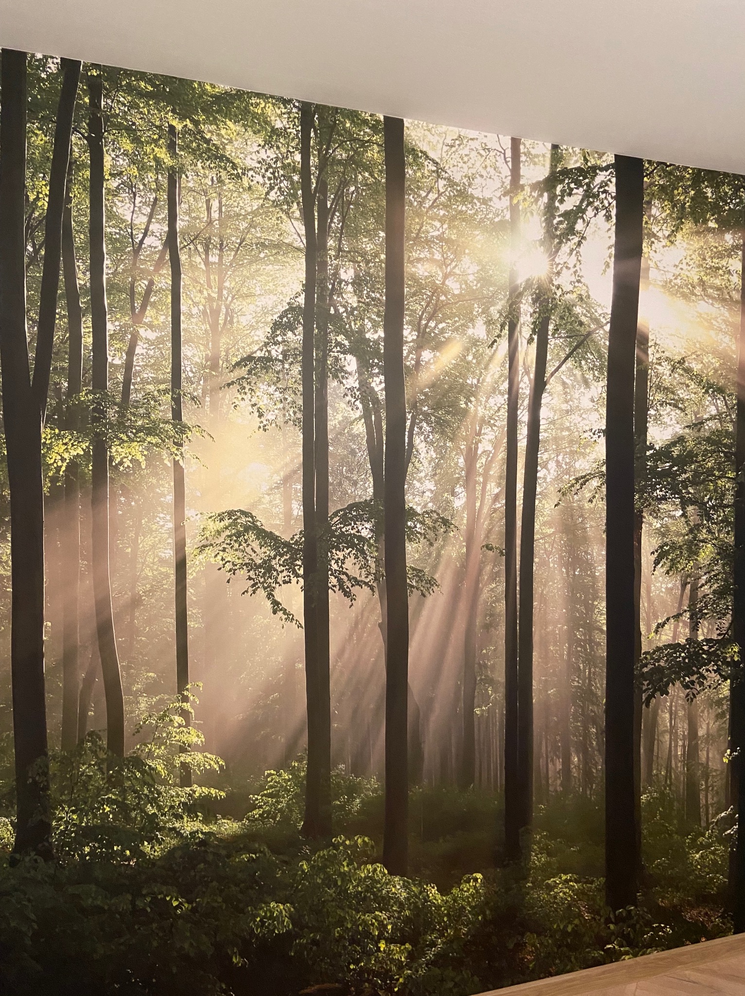 Fototapeta z motywem leśnym na ścianie, z promieniami słońca przebijającymi przez drzewa, tworząca iluzję przestrzeni w pomieszczeniu.