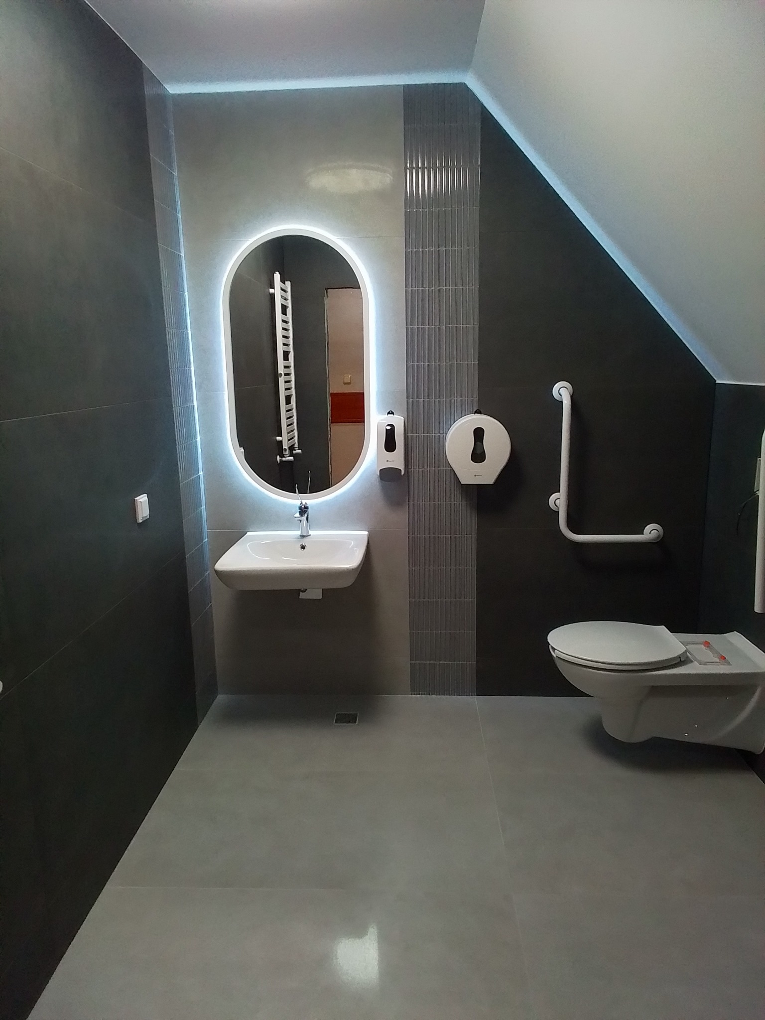 Nowoczesna łazienka z szarymi płytkami, owalnym lustrem z podświetleniem LED, umywalką, toaletą z uchwytem dla niepełnosprawnych i dozownikiem mydła.