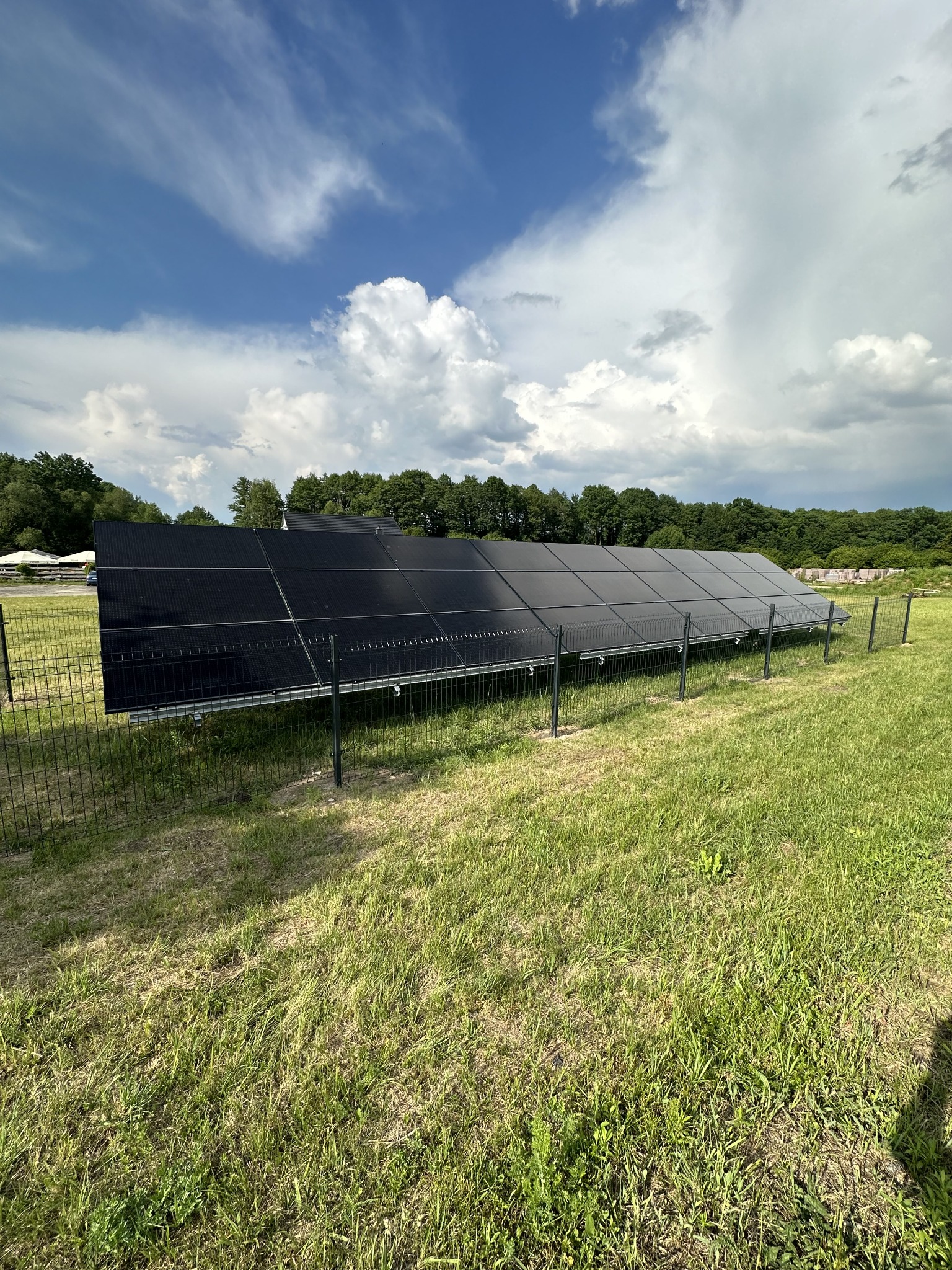 Rząd paneli fotowoltaicznych zabezpieczony metalową siatką na trawiastym terenie, z widocznym lasem w tle i pochmurnym niebem.
