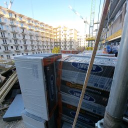 LEDBERG ALINA ZENKOVICH - Mycie Elewacji Lublin