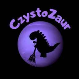 CzystoZaur - Pranie Sofy Stara Kamienica