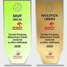 Projekt statuetek - piłka siatkowa.