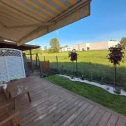 Ujęcie z tarasu na ogród z dwoma kulistymi drzewami, ścieżką z białego żwiru i zielonym trawnikiem. W tle budynek i błękitne niebo.