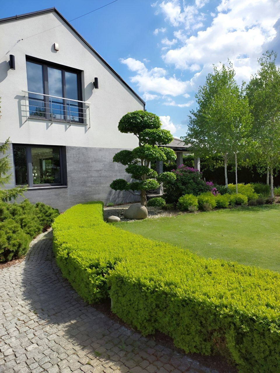 Ogród z równo przystrzyżonym żywopłotem, zielonym trawnikiem i ozdobnym drzewem na tle nowoczesnego domu w słoneczny dzień. Kamienna ścieżka prowadzi przez ogród.