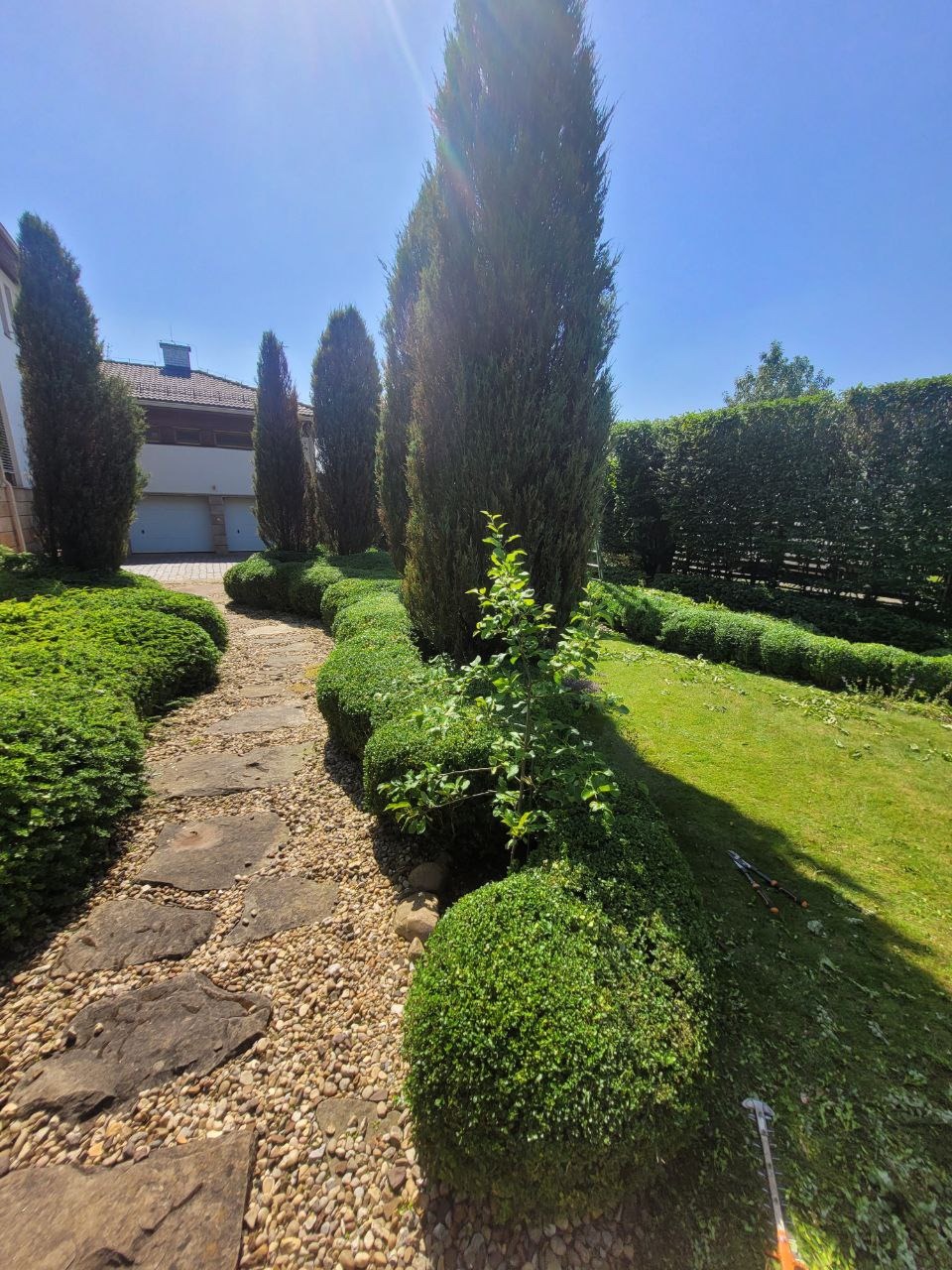Ogród po formowaniu żywopłotu i drzew, widoczny kamienny chodnik, trawnik z narzędziami ogrodniczymi. Słoneczny dzień.
