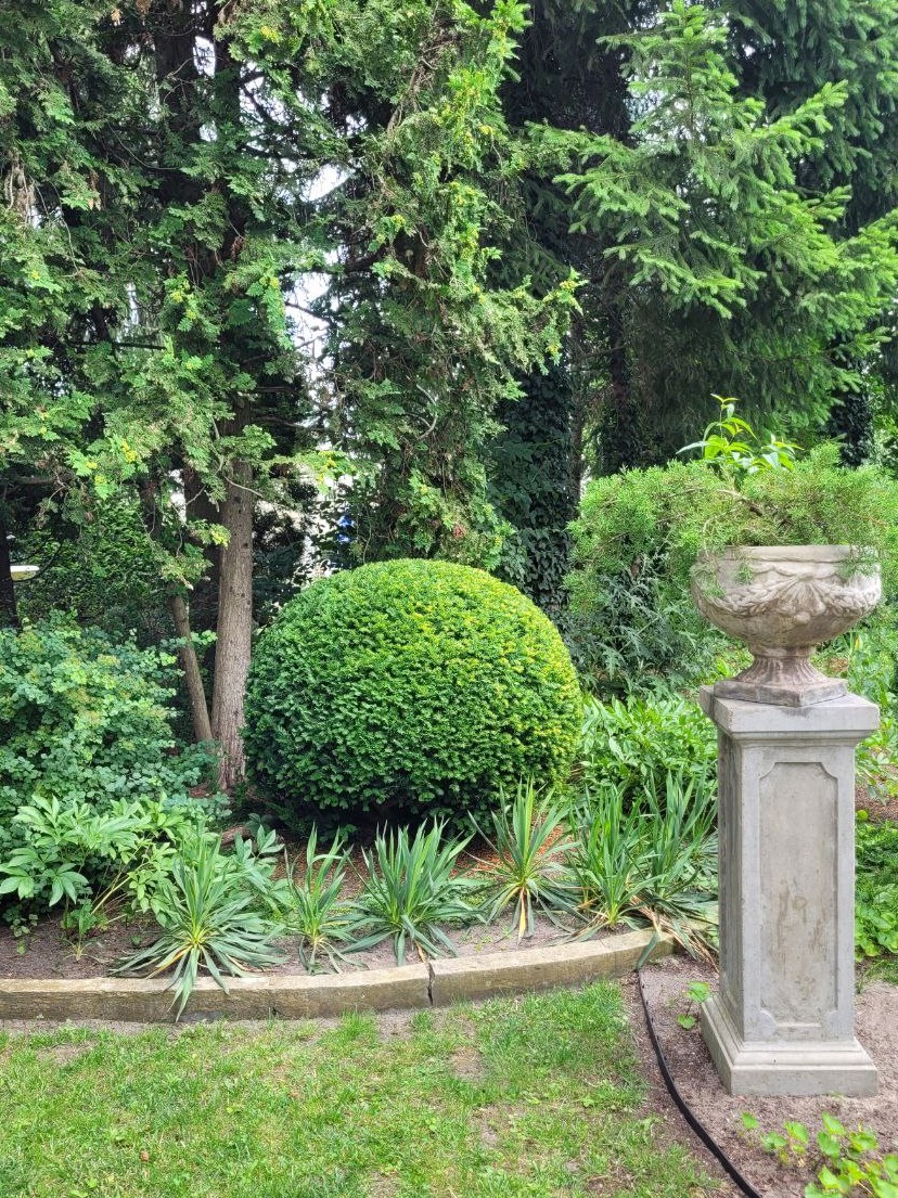 Kula z bukszpanu w ogrodzie, obok kolumna z donicą. Ułożone yucca, trawa i drzewa iglaste. Widoczne elementy systemu nawadniania. Estetyczny ogród.
