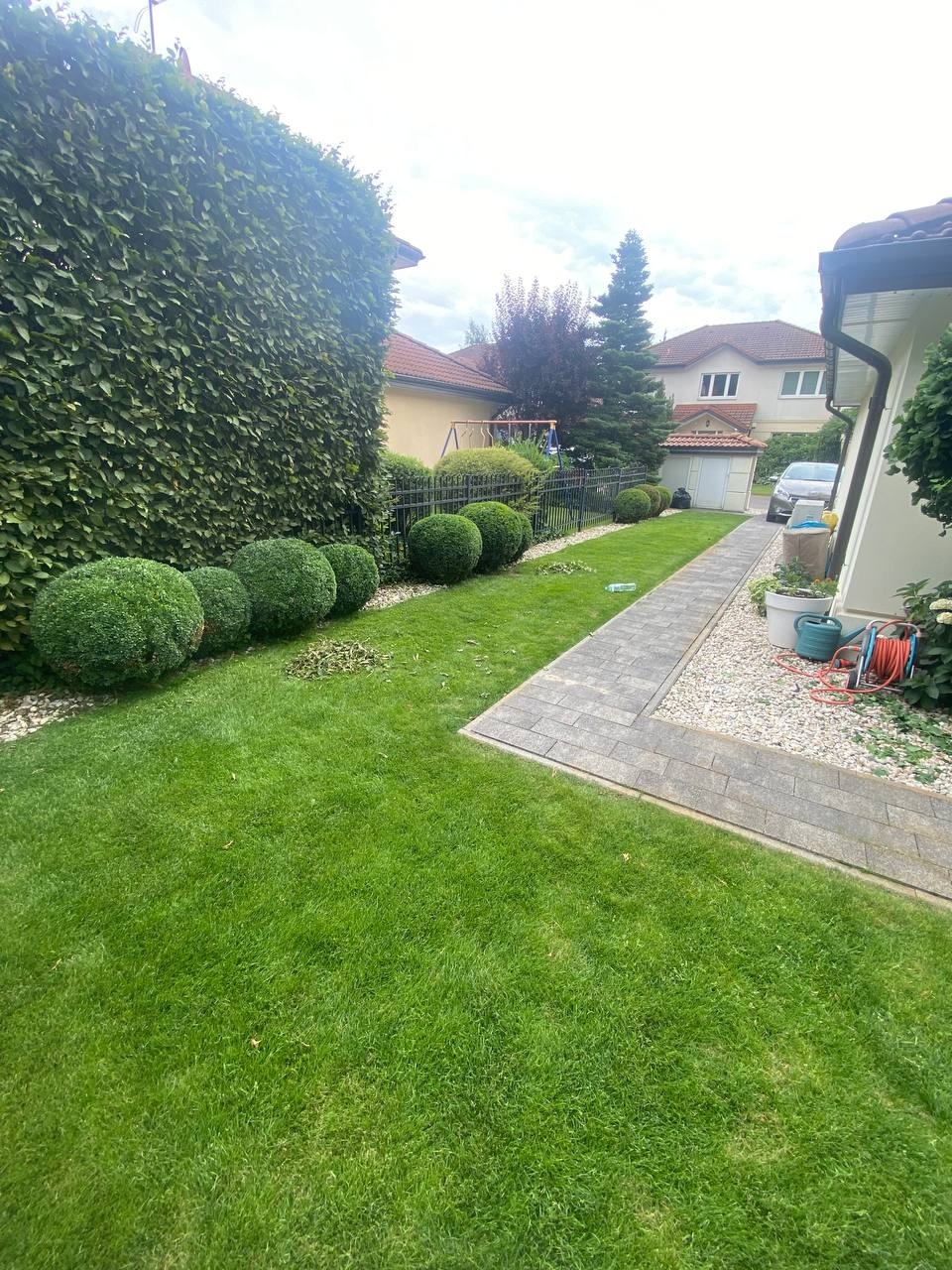 Zadbany trawnik z równo przystrzyżonymi kulistymi krzewami bukszpanu, graniczący z kamienną ścieżką i zielonym żywopłotem w przydomowym ogrodzie.