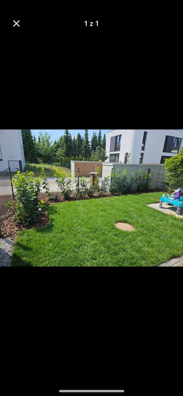 Zadbany trawnik z młodymi drzewkami, obrzeża wyłożone korą, nowoczesny dom w tle. Widoczny fragment zabawki dziecięcej.