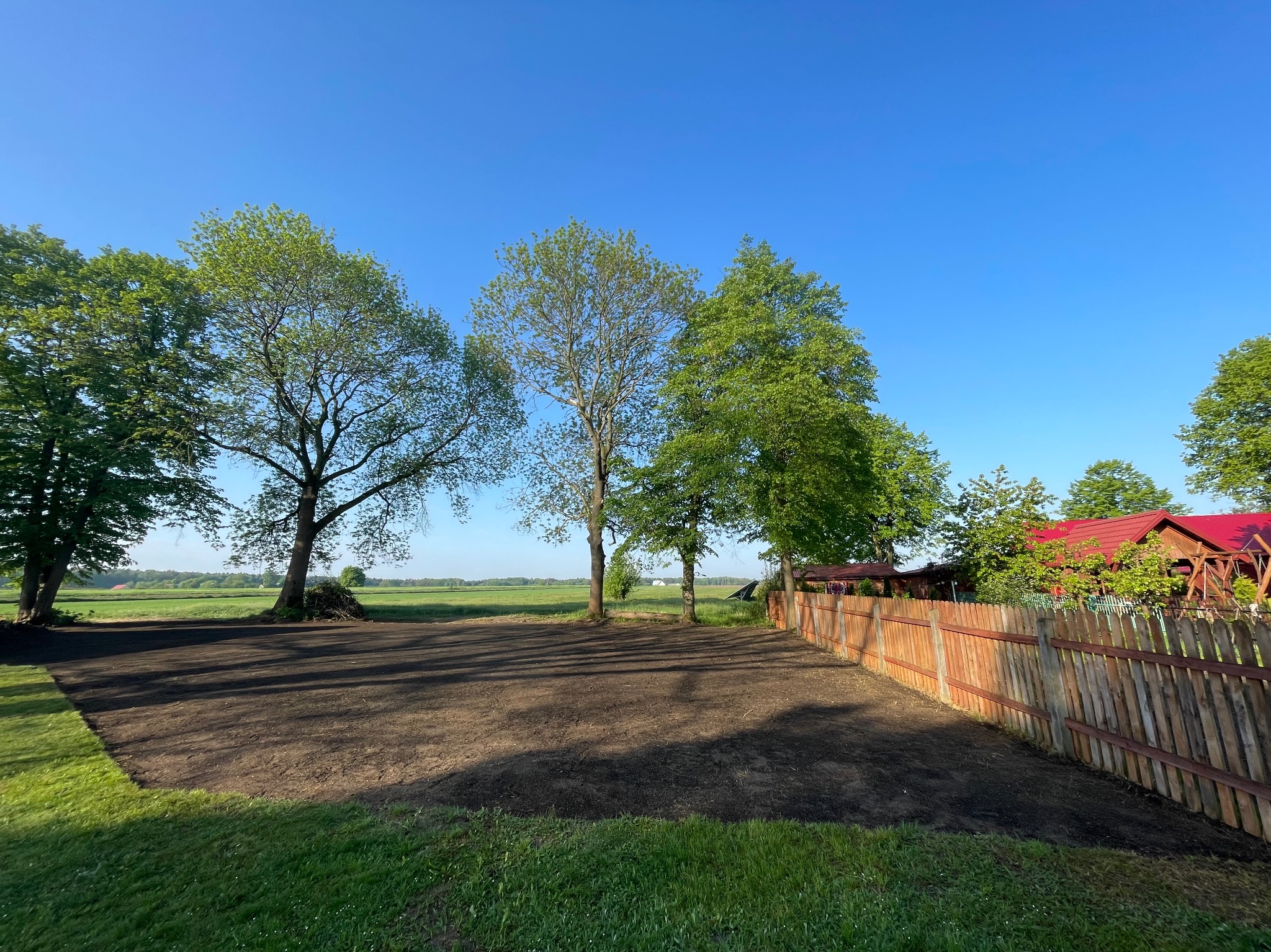 Przygotowany teren pod trawnik, świeżo wyrównana ziemia na tle drewnianego płotu i drzew w słoneczny dzień.