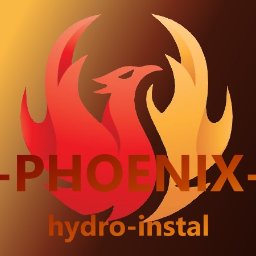 PHOENIX HYDRO-INSTAL Volodymyr Voronov