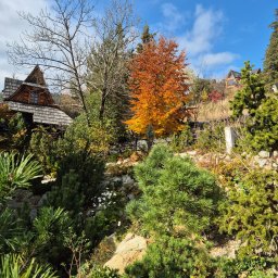 PO WIDOKI AGNIESZKA SKARBEK-MALCZEWSKA - Znakomity Technik Architektury Krajobrazu Zakopane