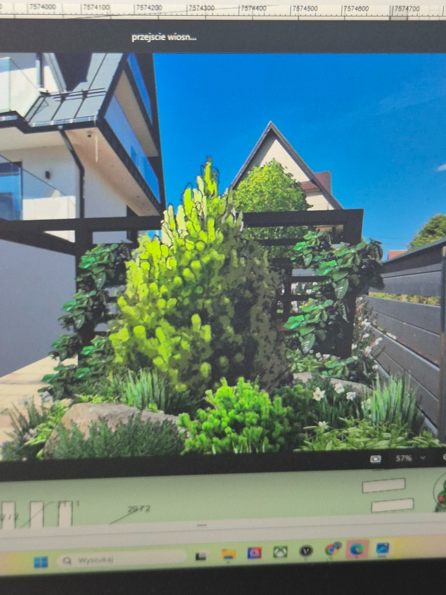 Wizualizacja zagospodarowania przestrzeni przed domem z użyciem roślinności: iglak o jasnozielonych igłach, pnącza na drewnianej pergoli, trawy ozdobne i niskie krzewy, na tle nowoczesnej...