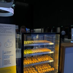 Transport busem Marki 1