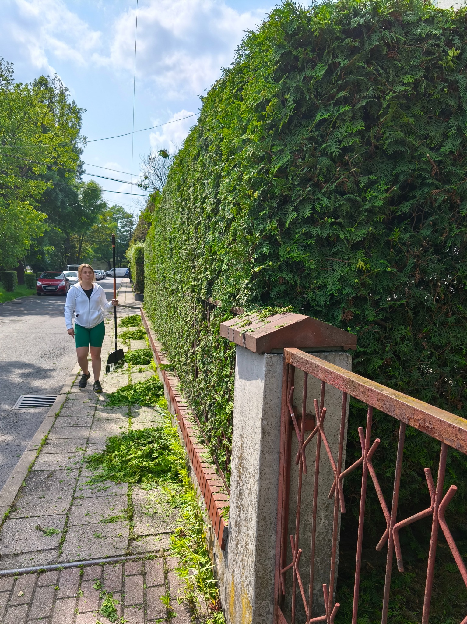 Kobieta z grabiami idzie chodnikiem obok przyciętego żywopłotu, z resztkami roślin na kostce. Widoczne elementy ogrodzenia i ulica z drzewami w tle.