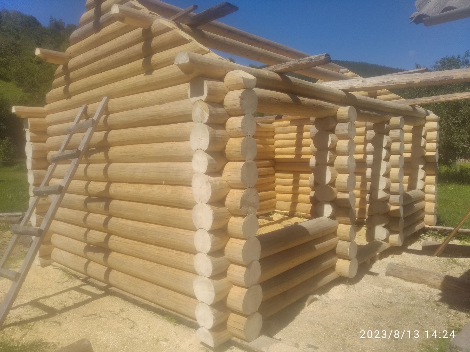 Budowa domu z bali: widok na wznoszone ściany i częściowo wykonaną więźbę dachową. Drewniana drabina oparta o ścianę. Wokół budynku widać teren budowy.