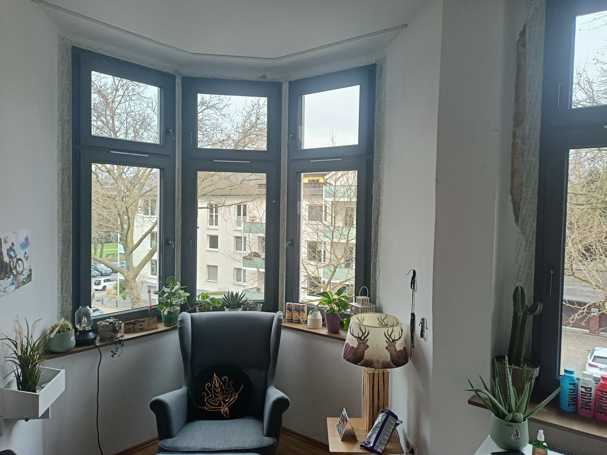 Wnętrze pokoju z oknem wykuszowym z ciemnymi ramami, na parapecie rośliny doniczkowe, widok na drzewa i budynki za oknem, fotel z poduszką i lampa z motywem jeleni w pokoju.