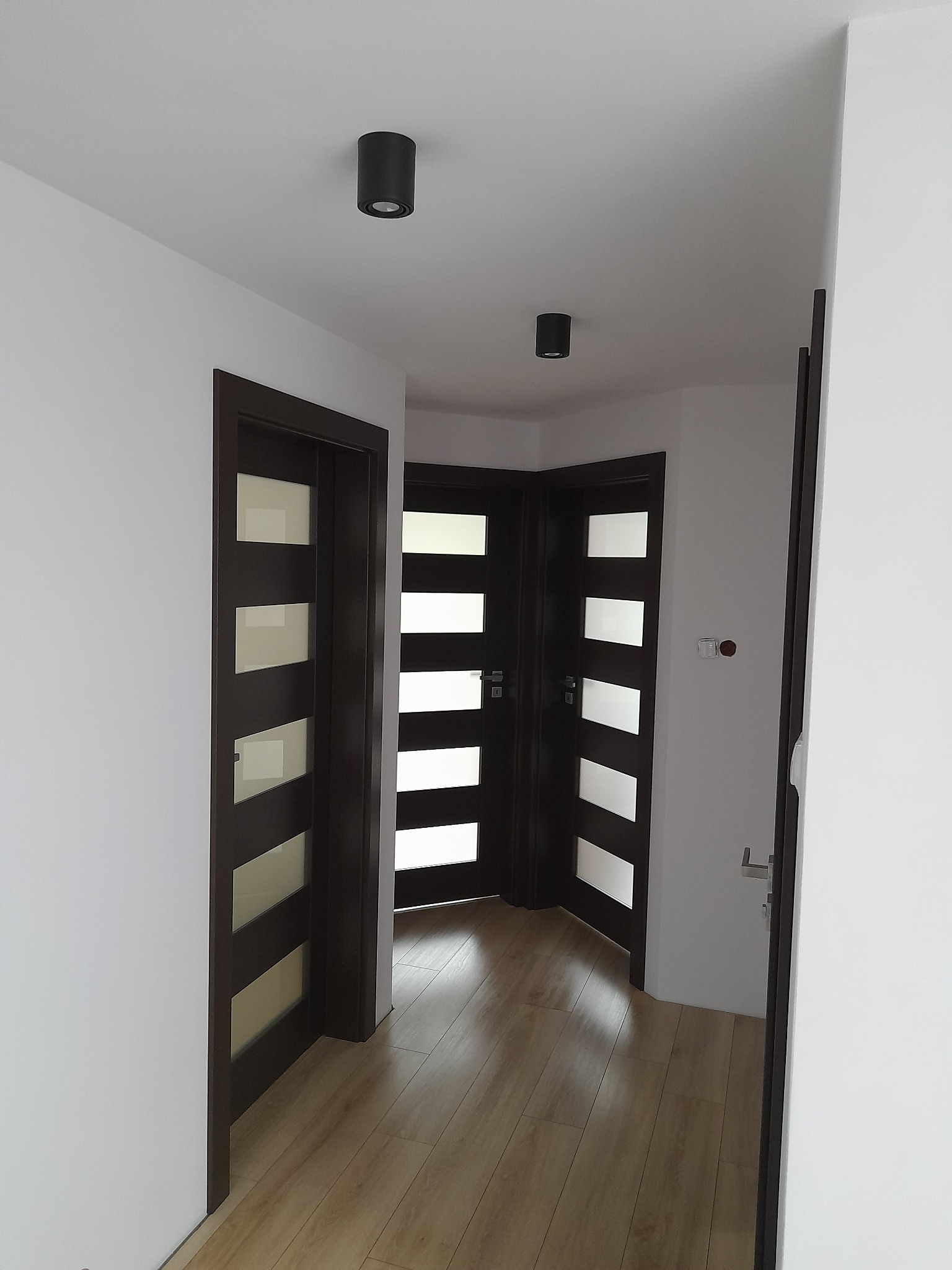 Wnętrze korytarza z trzema ciemnymi drzwiami z przeszkleniami, drewniana podłoga, białe ściany i sufit z dwoma czarnymi lampami sufitowymi.