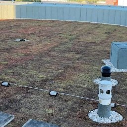 Oferujemy również wykonanie dachów zielonych.
