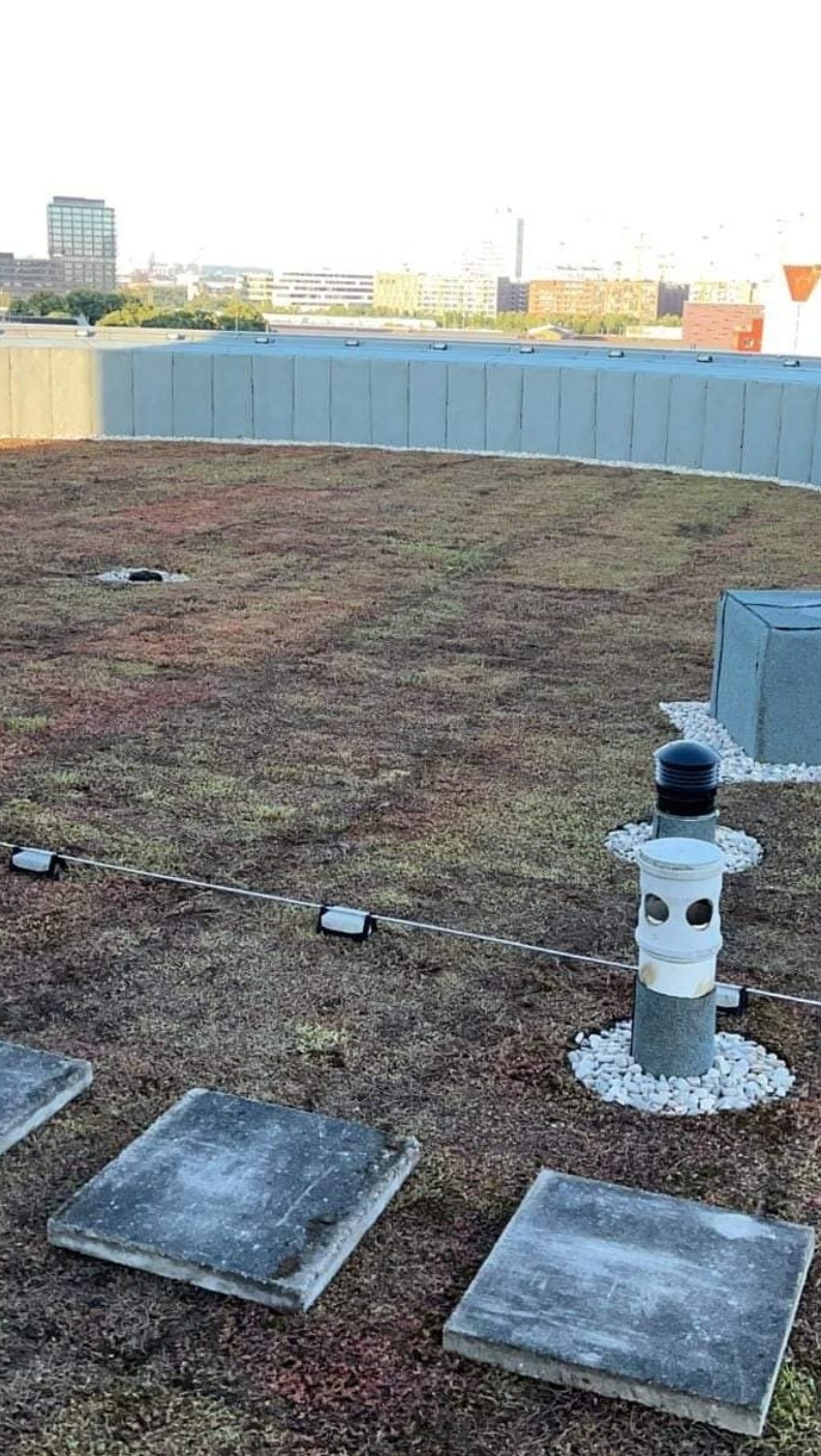 Oferujemy również wykonanie dachów zielonych.