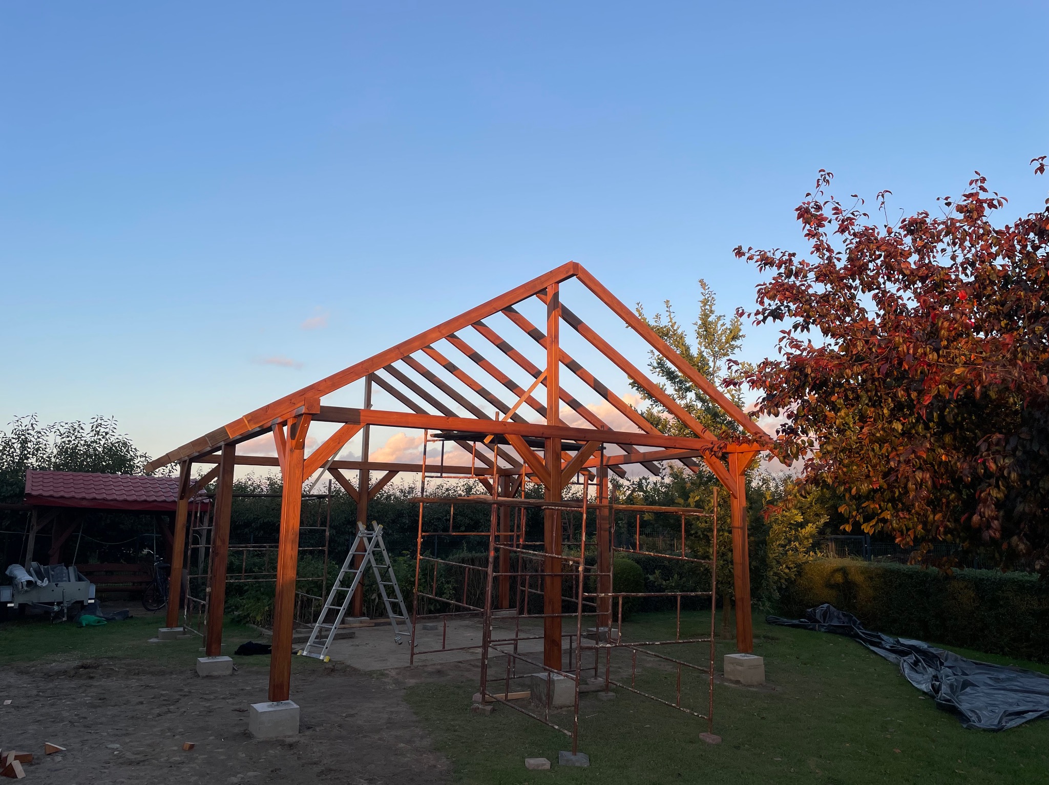 Wznoszona drewniana konstrukcja altany ogrodowej o zmierzchu. Widoczne rusztowania, drabina oparta o konstrukcję. W tle zieleń ogrodu i błękitne niebo.