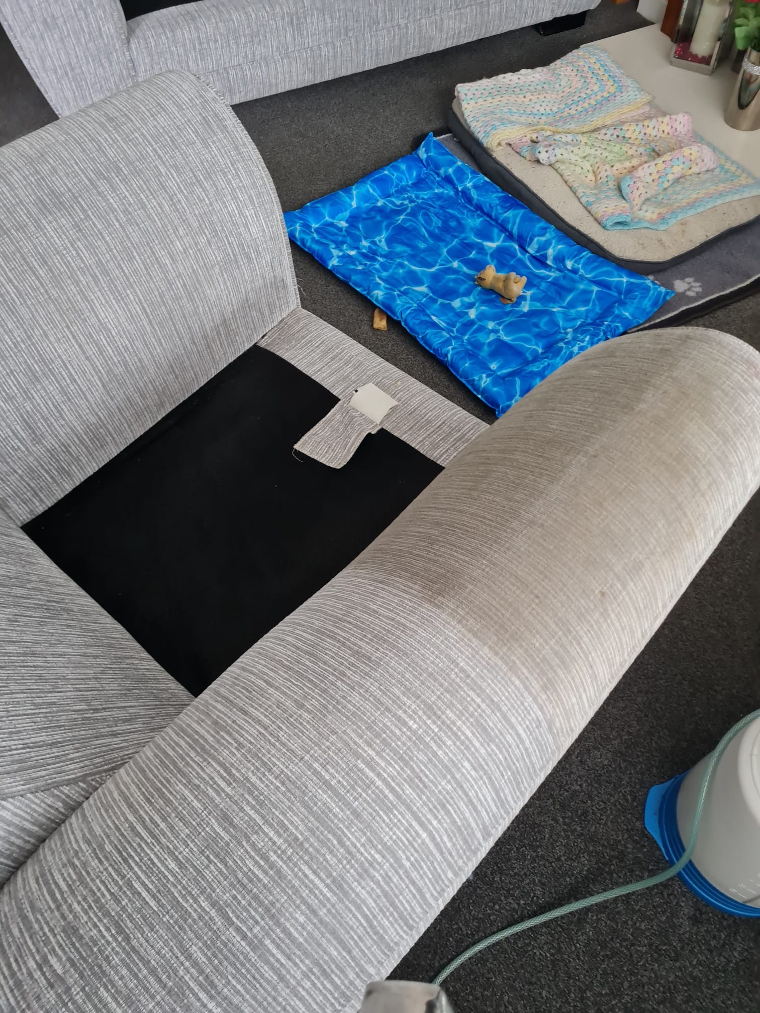 Fragment szarego fotela z czarnym siedziskiem, obok leży niebieska mata z wzorem wody i zabawka dla psa, widoczny również pojemnik z rurką, prawdopodobnie element sprzętu do prania tapicerki.