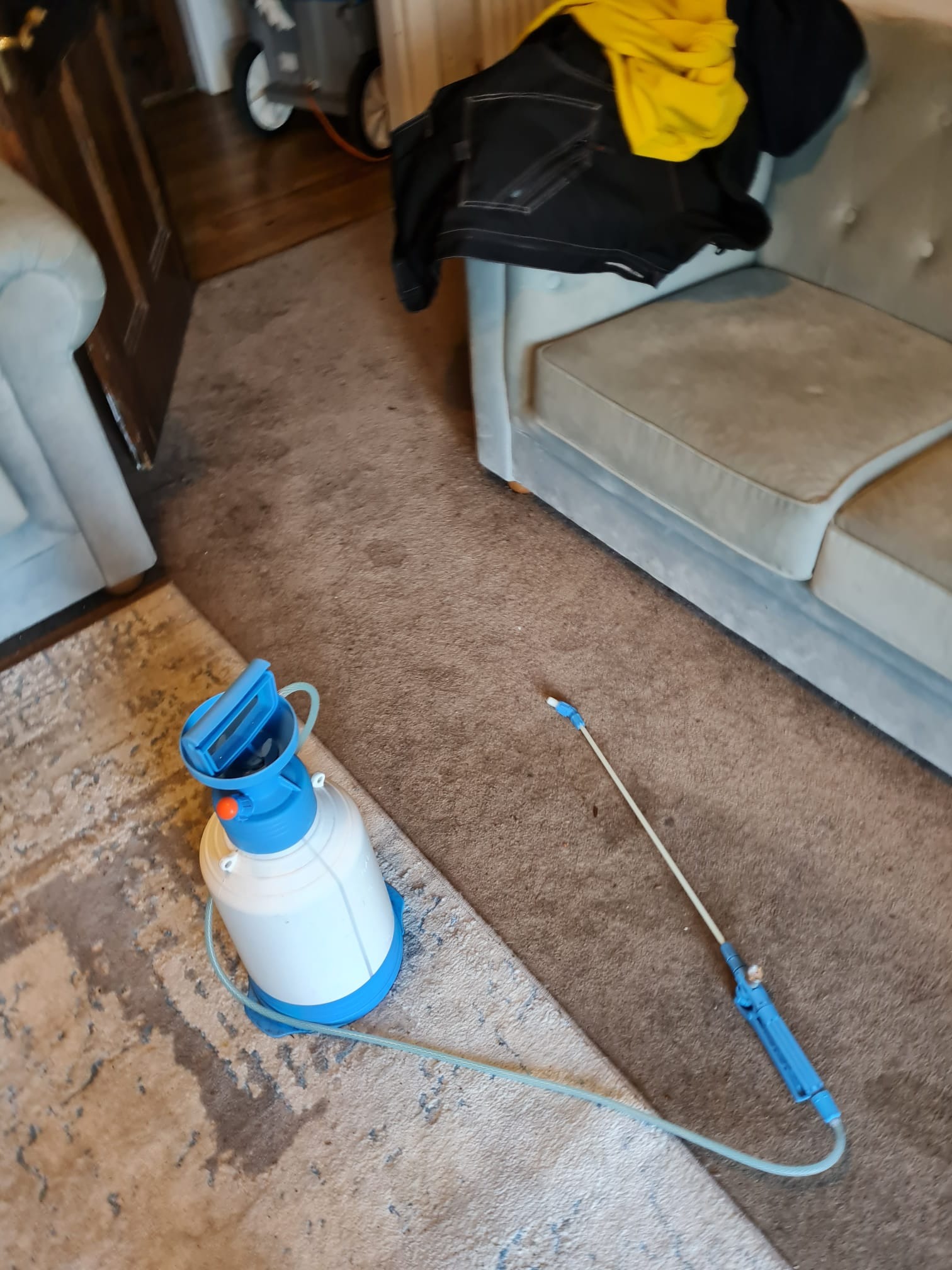 Biały ciśnieniowy opryskiwacz z niebieskimi elementami leży na brudnym dywanie obok sofy z narzuconymi ubraniami.