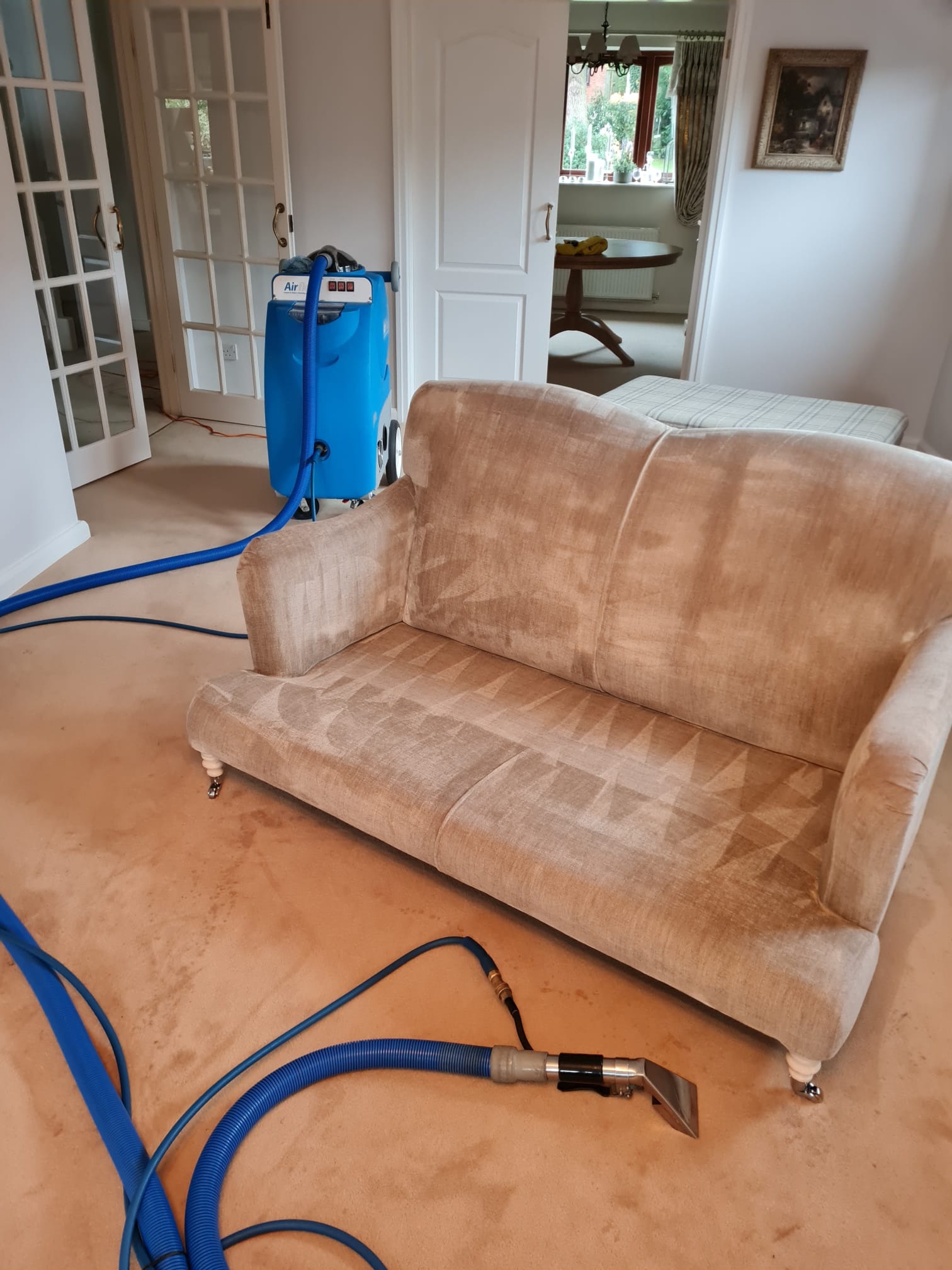 Beżowa kanapa z widocznymi śladami czyszczenia, niebieski odkurzacz piorący z grubymi wężami na beżowej wykładzinie, w tle drzwi z szybkami i obraz na ścianie.
