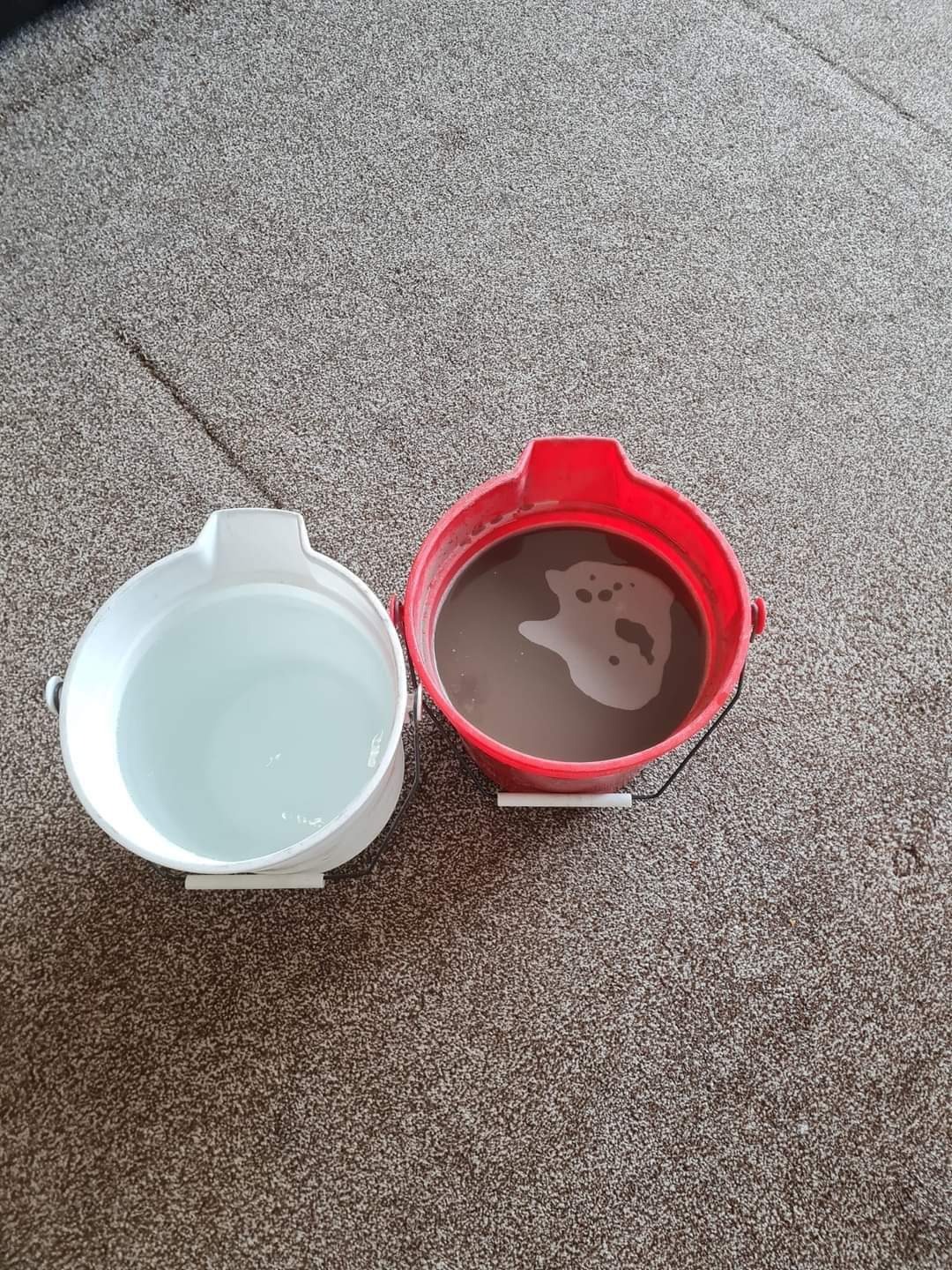 Woda przed praniem i po praniu dywanu