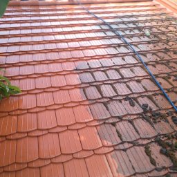 Maclin - Częściowo umyty dach z czerwonej dachówki. Po lewej czysta powierzchnia, po prawej zabrudzenia i mech. W tle budynek i zieleń. W kadrze niebieski wąż.