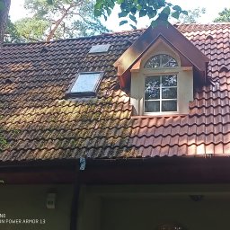 Maclin - Czerwony dach z dachówką ceramiczną, częściowo porośnięty mchem, z oknem dachowym i lukarną, widziany z dołu, na tle zieleni drzew.