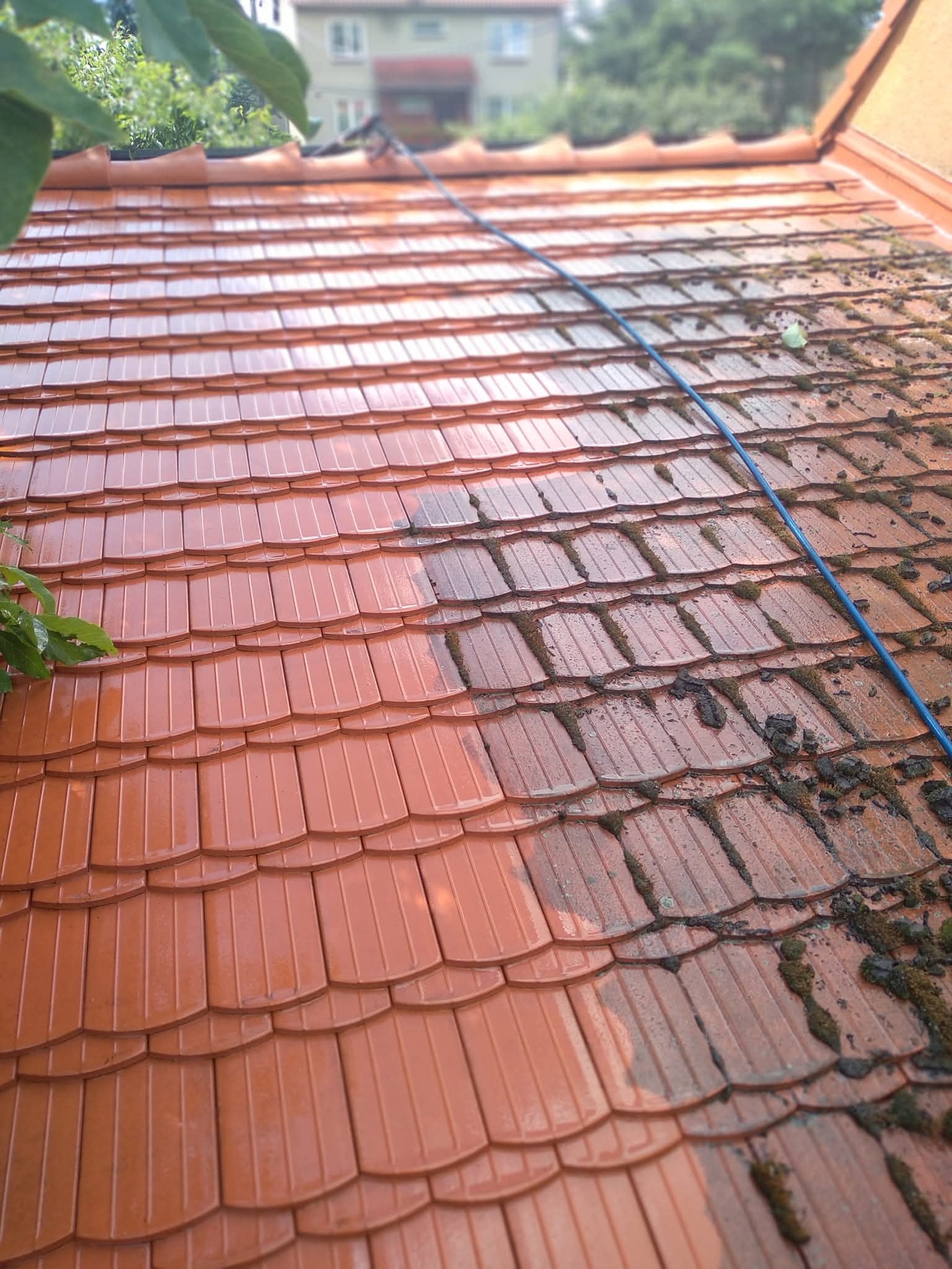 Częściowo umyty dach z czerwonej dachówki. Po lewej czysta powierzchnia, po prawej zabrudzenia i mech. W tle budynek i zieleń. W kadrze niebieski wąż.