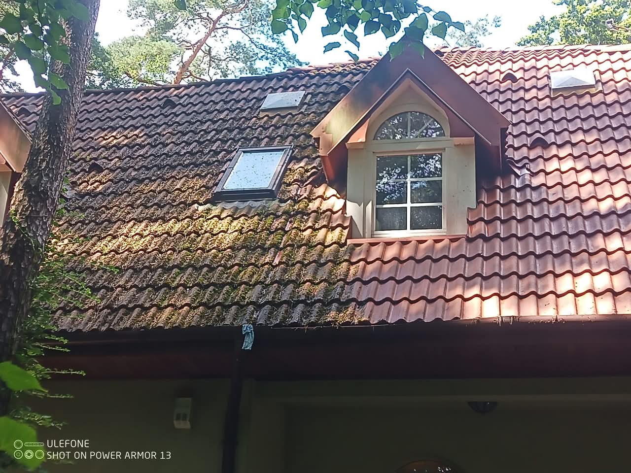 Czerwony dach z dachówką ceramiczną, częściowo porośnięty mchem, z oknem dachowym i lukarną, widziany z dołu, na tle zieleni drzew.