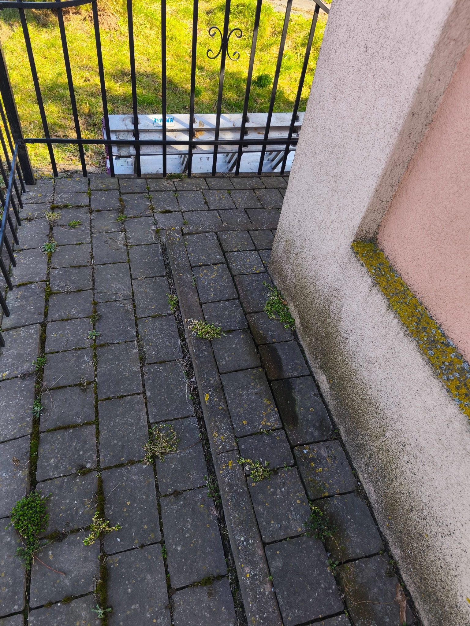 Zaniedbany taras z kostki brukowej porastającej mchem i roślinami, z fragmentem elewacji z widocznymi zabrudzeniami i metalową barierką w tle.
