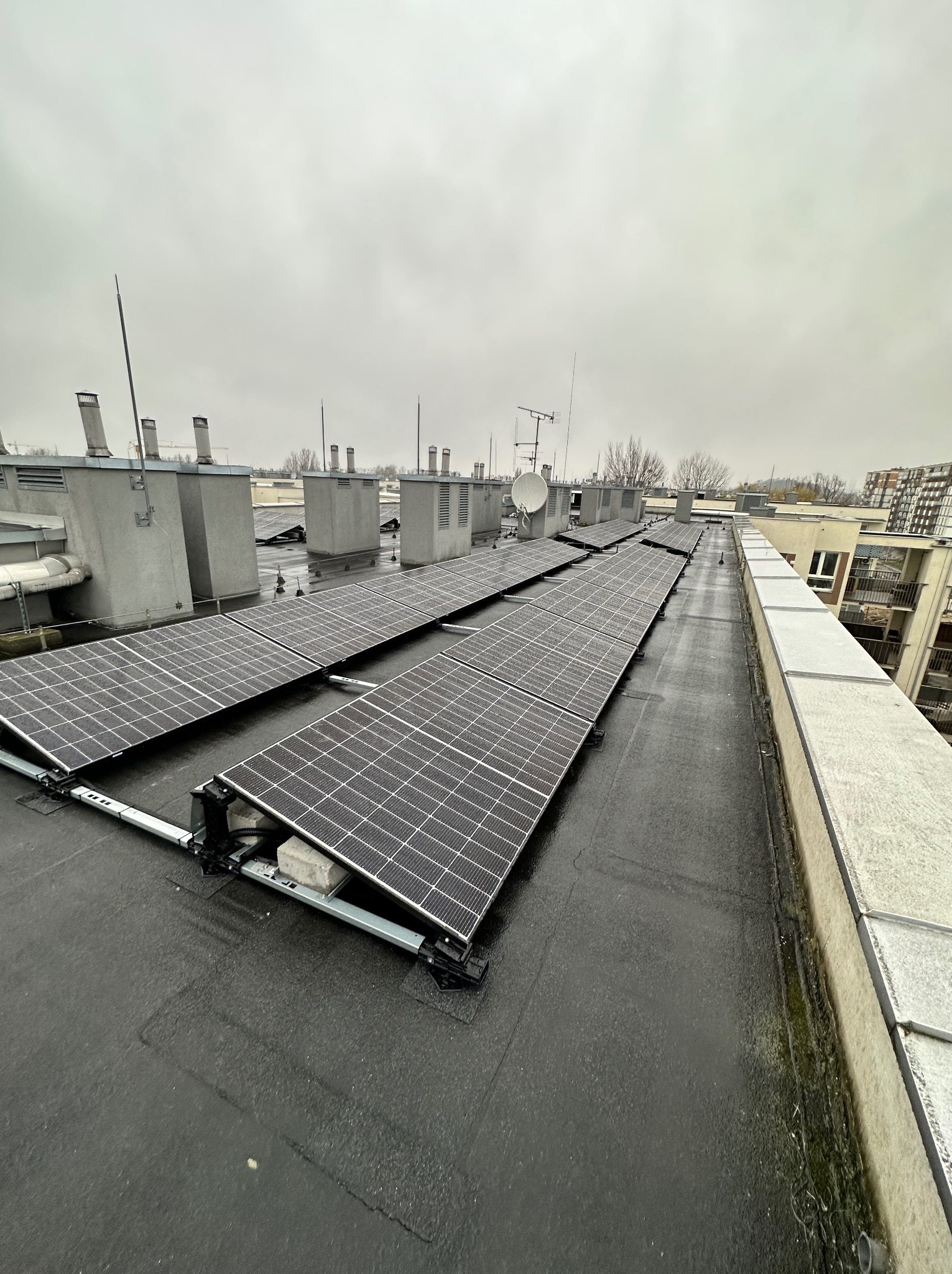 Rząd paneli fotowoltaicznych na płaskim, mokrym dachu budynku z widocznymi elementami montażowymi i budynkami w tle, pochmurny dzień.