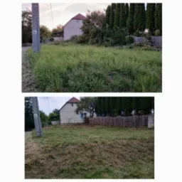 Por&oacute;wnanie stanu działki przed i po skoszeniu trawy, widoczne wysokie źdźbła przed zabiegiem i kr&oacute;tko przystrzyżona trawa po, na tle domu z czerwonym dachem i drewnianego płotu.