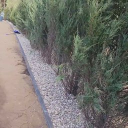 Koszenie trawy Suwałki 1