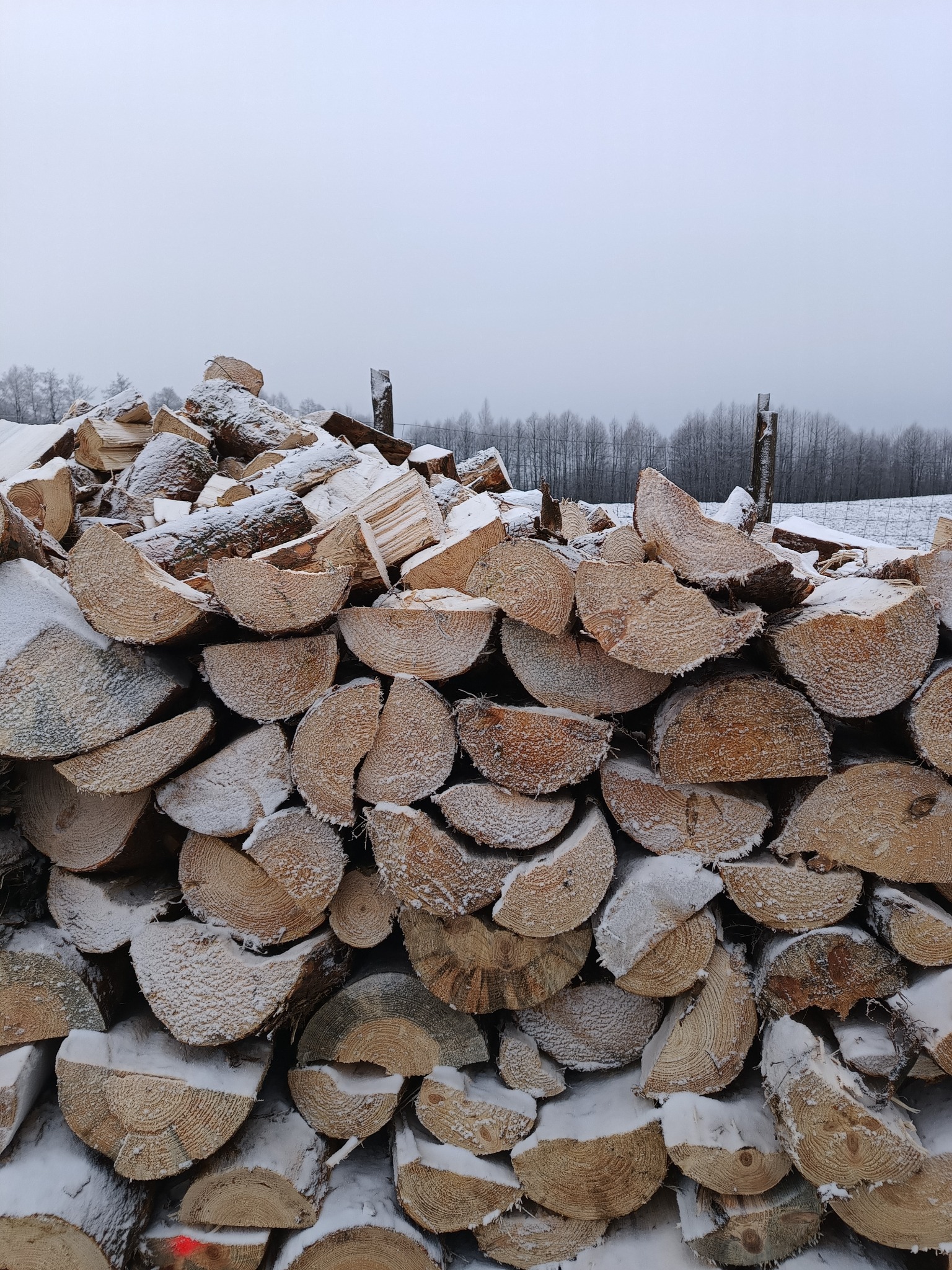 Stos pociętego drewna kominkowego, delikatnie oprószony śniegiem, ułożony na zewnątrz w pochmurny dzień. W tle widoczne drzewa i ogrodzenie z drutu.