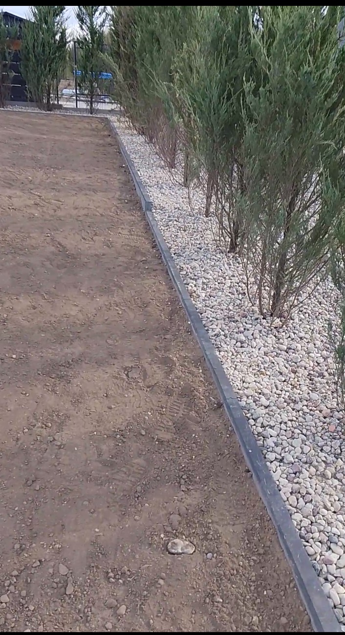 Ścieżka z ziemi obok rabaty z kamykami i iglakami, oddzielona szarym obrzeżem. Widoczne ślady opon na ziemi. Ujęcie z poziomu gruntu.