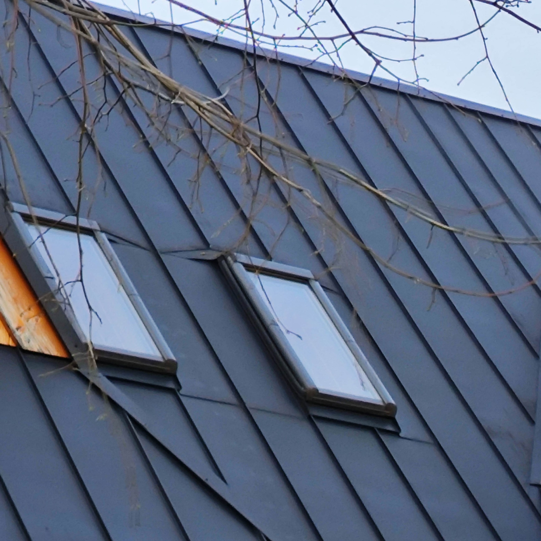 Czarny dach z blachy trapezowej z dwoma oknami dachowymi, widoczne gałęzie drzewa.