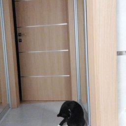 Usługi Ogólnobudowlane Paweł Soboń - Montaż drzwi... z asystentem ;)