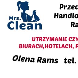 Przedsiębiorstwo Handlowo Usługowe Olena Rams - Sprzątanie Po Remoncie Jelenia Góra