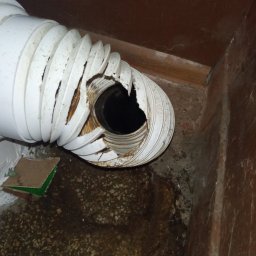 KOMPLEKS INSTAL DAWID ORŁOWSKI - Rura za muszlą klozetową przegryziona przez szczura