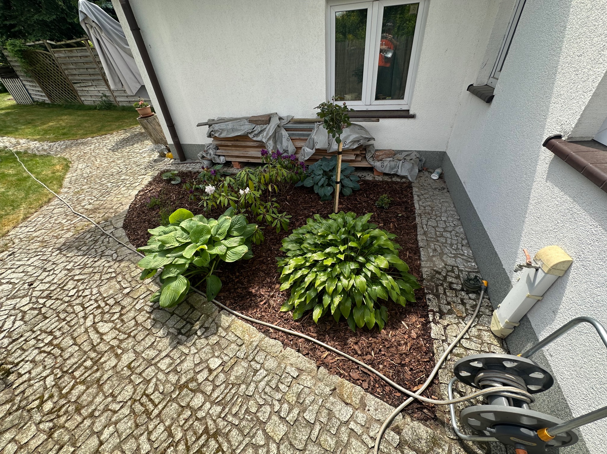 Kaskadowy ogródek przy domu z kostki granitowej, rabata wysypana korą, hosty, sadzonka drzewka, przygotowane materiały budowlane pod oknem.