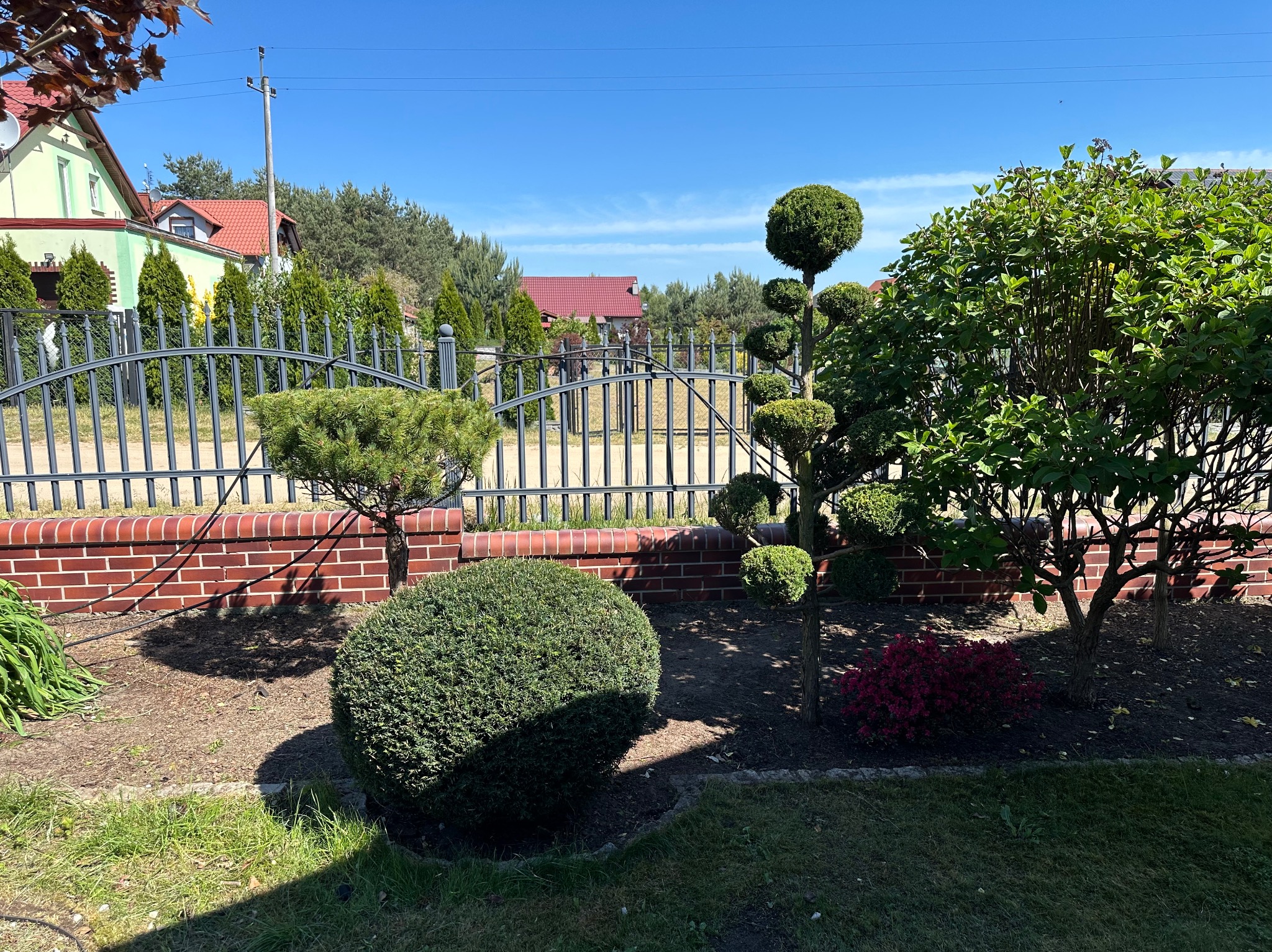 Ogród z różnorodnymi, starannie przyciętymi krzewami i drzewami ozdobnymi w kształcie kul i stożków, oddzielony od ulicy ceglanym murkiem z metalowym ogrodzeniem, na tle domów z czerwonymi dachami...