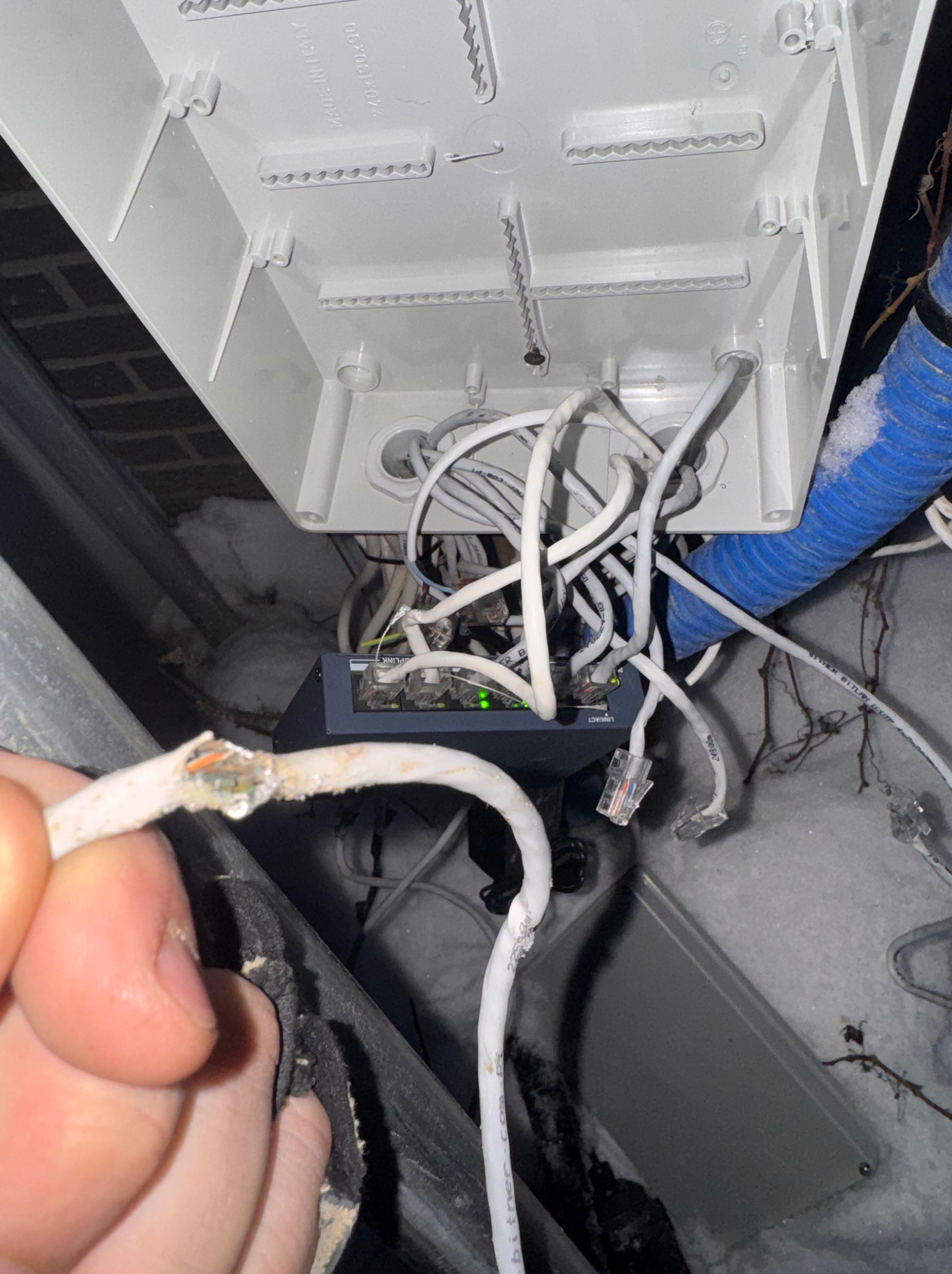 Uszkodzony kabel sieciowy w skrzynce przyłączeniowej, widoczne żyły, obok switch i kable RJ45. Ślady śniegu sugerują montaż na zewnątrz.