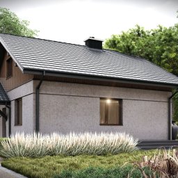 Projektowanie Elewacji Lubicz 3