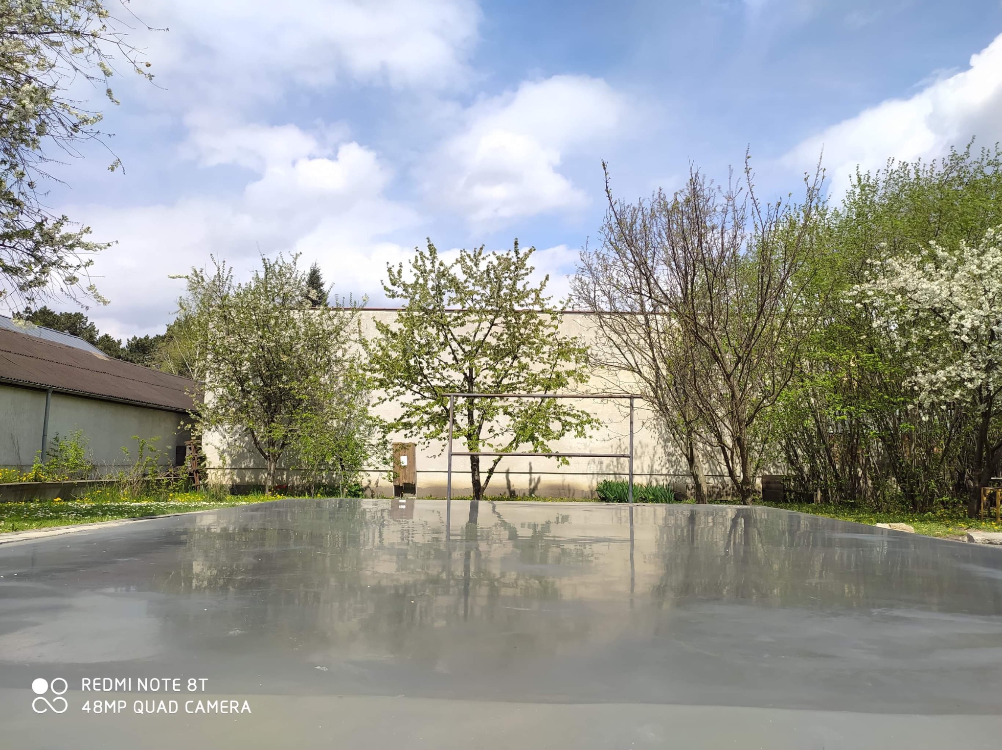 Świeżo wylana, gładka, szara powierzchnia w otoczeniu kwitnących drzew i budynku w tle, odbijająca niebo z chmurami.