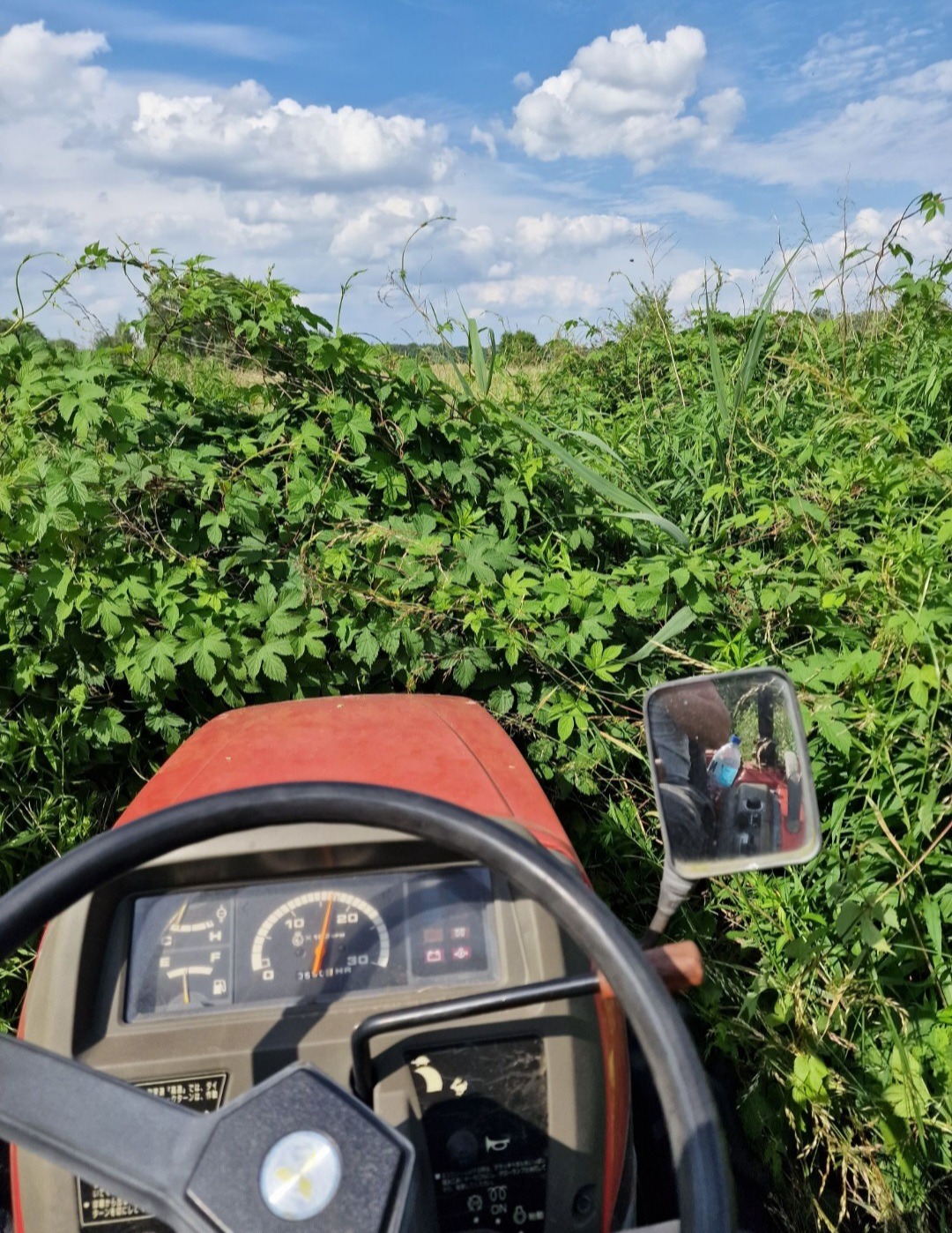 Czyszczenie działki inwestycyjnej