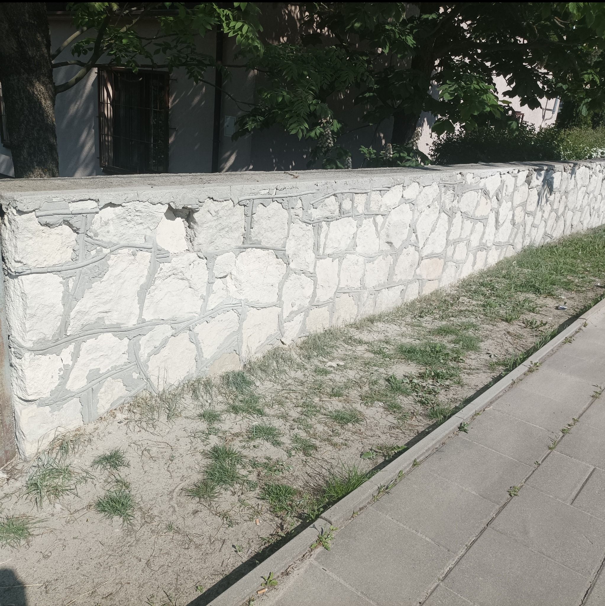 Kamienny mur ogrodzeniowy z nierównymi spoinami, pomalowany na biało, widoczny z perspektywy chodnika i trawnika, z drzewami w tle.