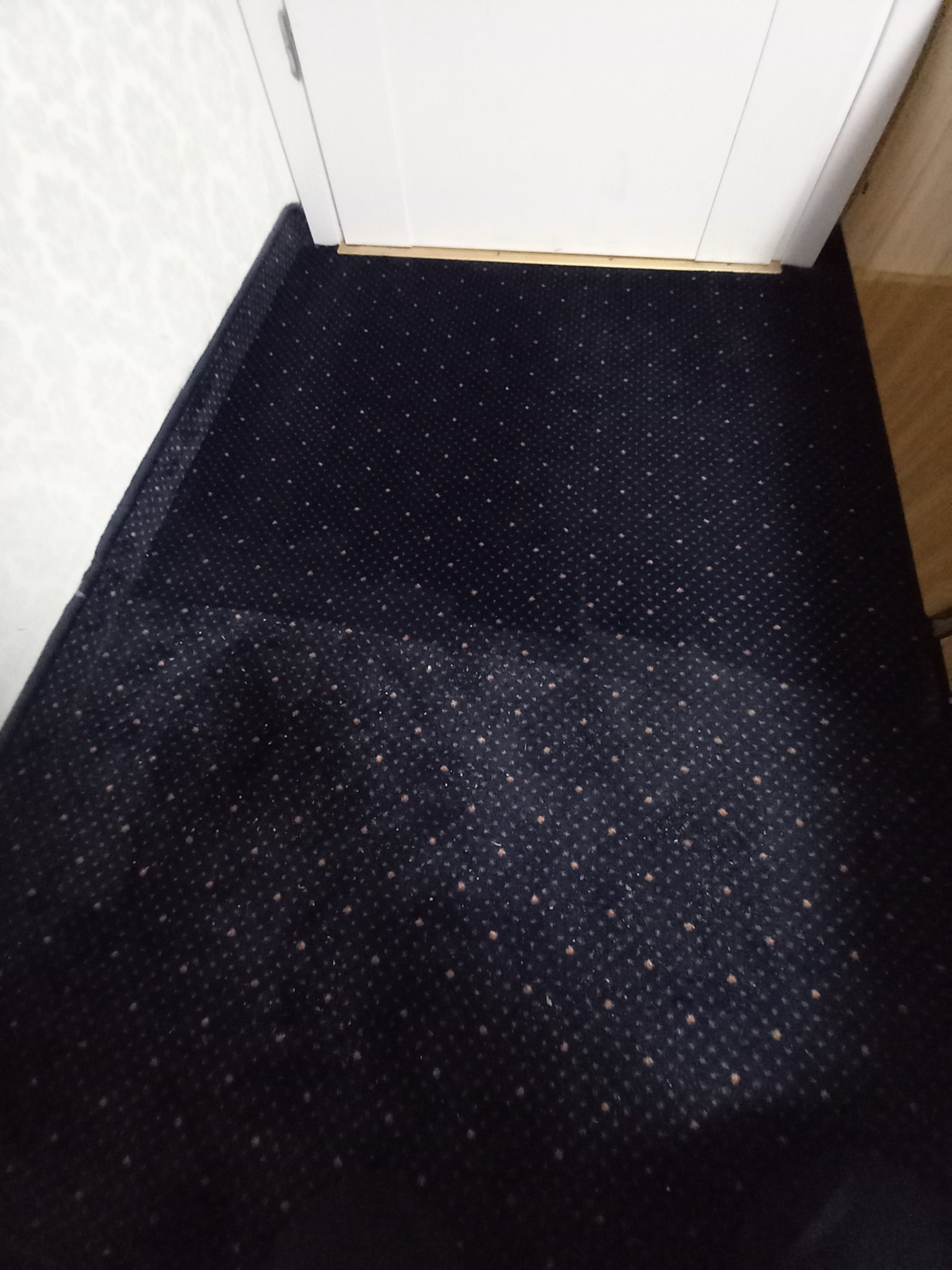 Ciemny dywan z drobnym wzorem w pobliżu białych drzwi, widoczne jaśniejsze plamy sugerujące niedawne czyszczenie.
